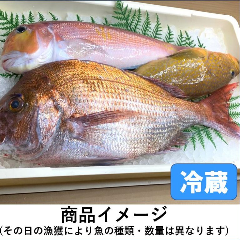 目利きの鮮魚BOX（高級版）３kg前後