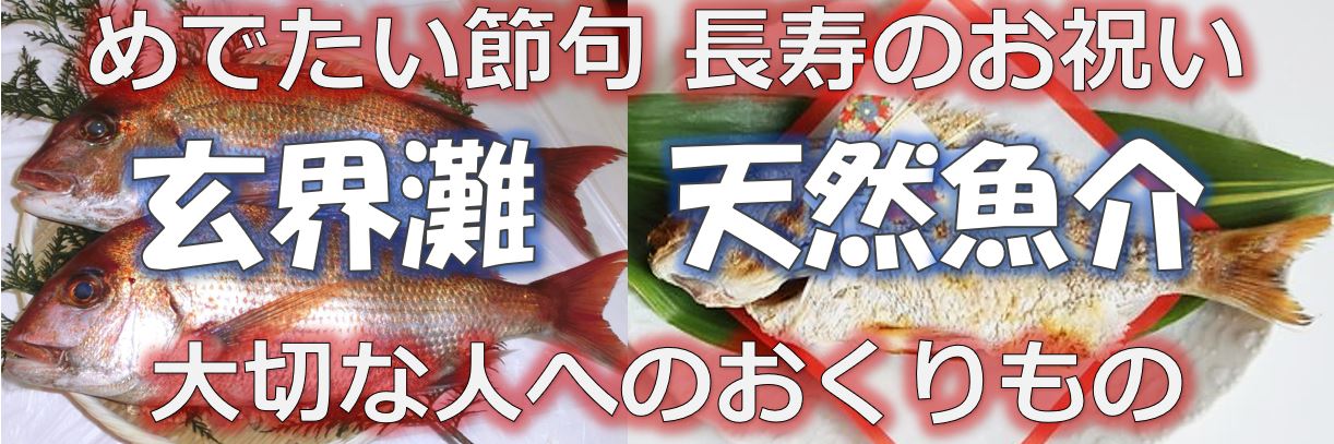 玄界灘_天然魚介