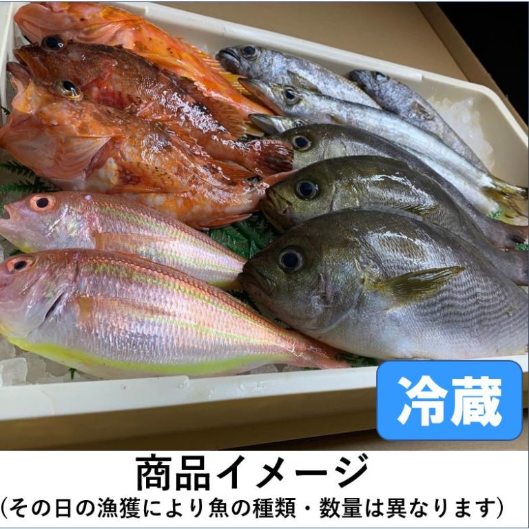 【定期販売】目利きの鮮魚BOX（お買い得版）３kg前後