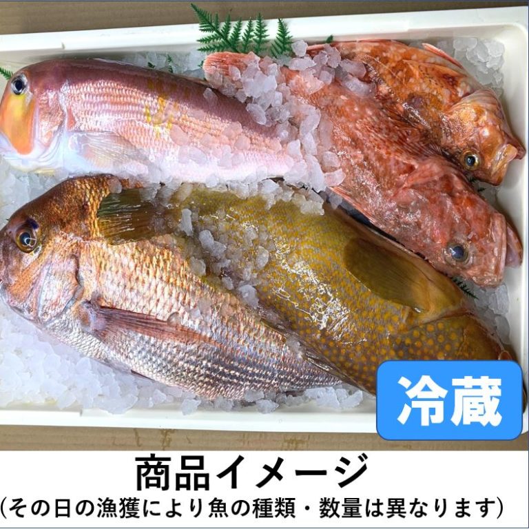 【定期販売】目利きの鮮魚BOX（高級版）５kg前後