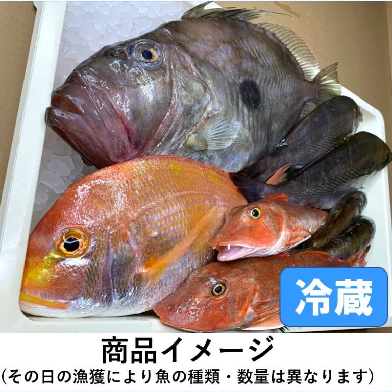 【定期販売】目利きの鮮魚BOX（お買い得版）５kg前後
