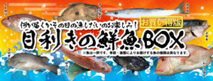 イサキやカマス、レンコダイのほか、イトヨリ、メジナ、コロダイ、マトウダイ、ホウボウなど玄界灘漁師の目利きの鮮魚をお届け！